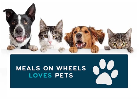 petsmart senior discount